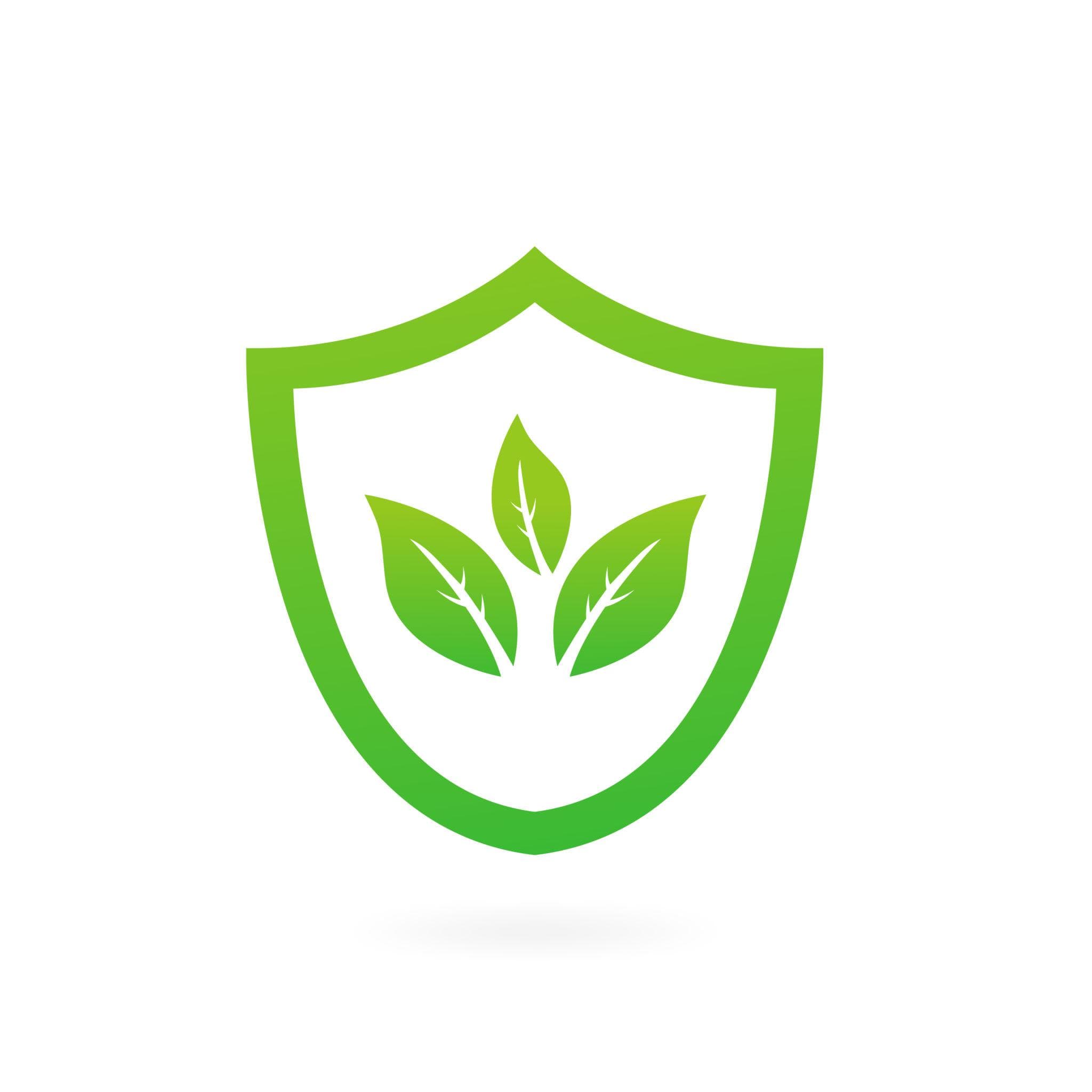 Clean Ingredients